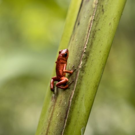 Ecuador – Land der Vulkane